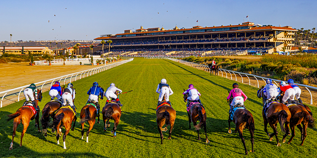 Black Car Service for Del Mar Racing Events | San Diego